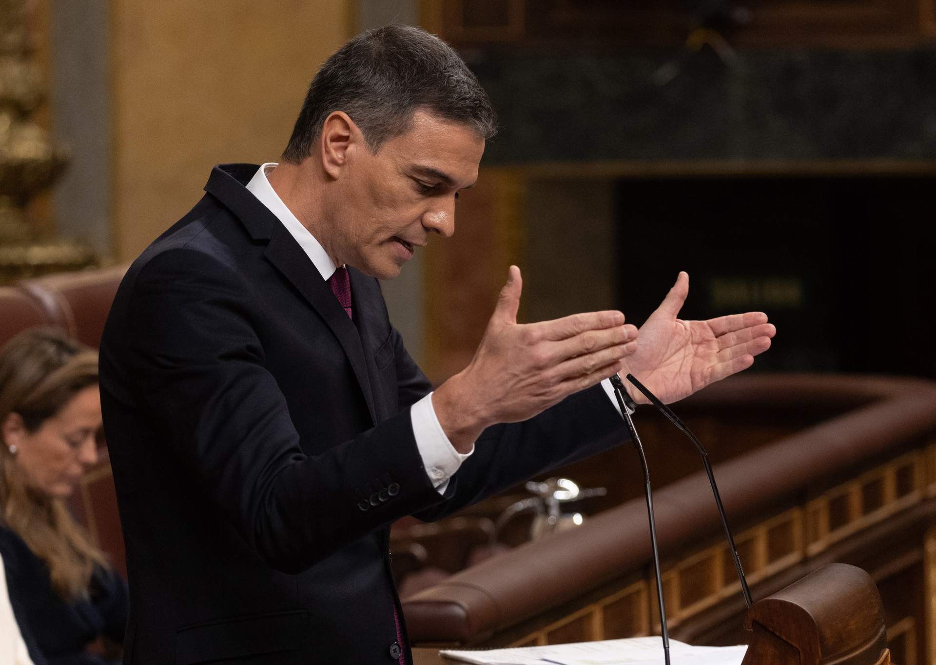 El presidente del Gobierno, Pedro Sánchez, en un debate parlamentario.